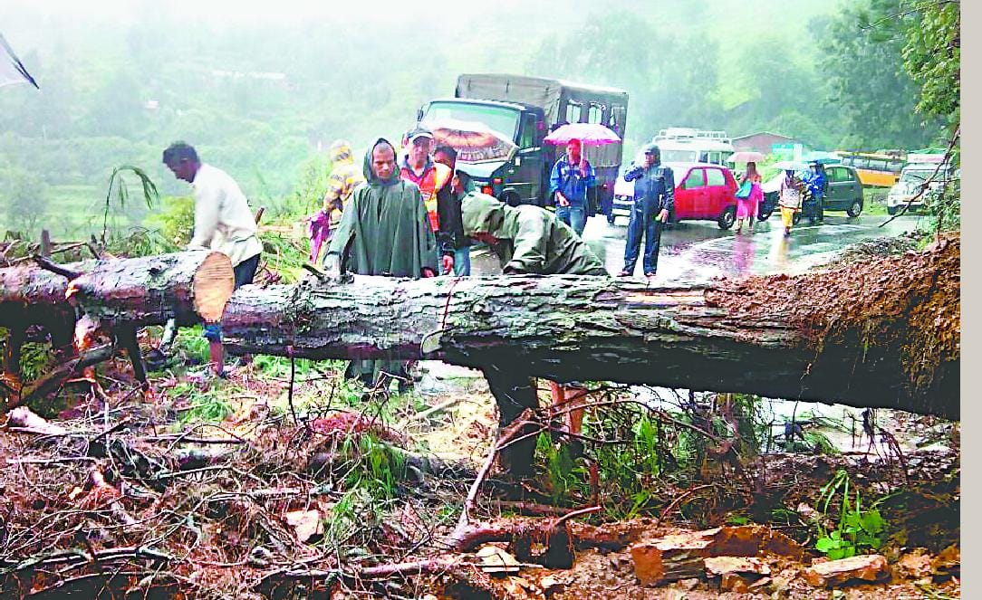 Fallen trees and debris on NH