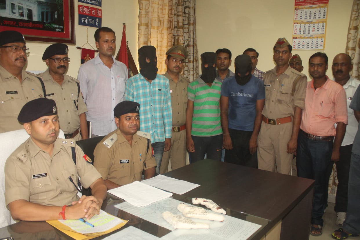 Mother, son, three gangsters were arrested robbers