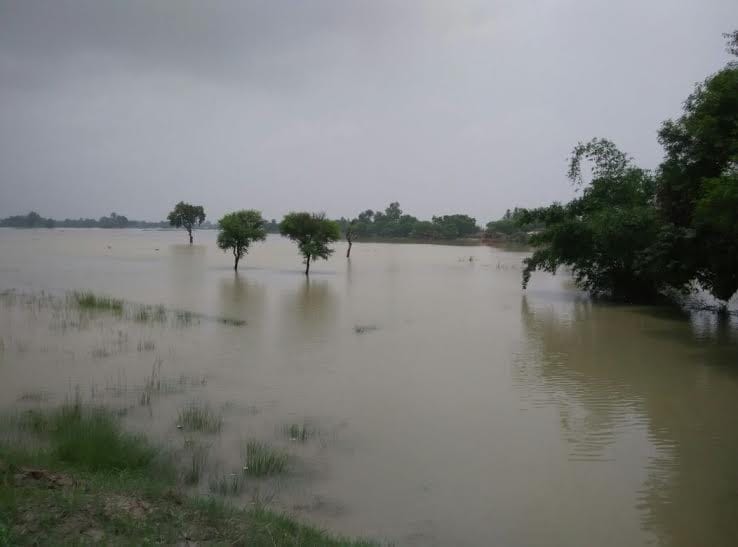 Static water level of Ghagra, people in relief
