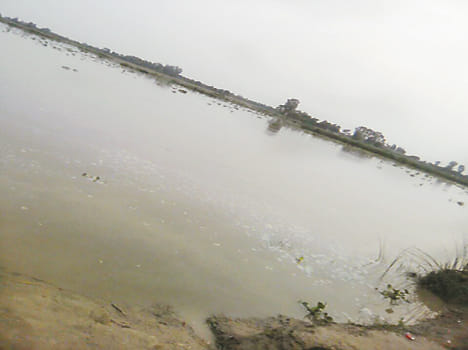 Water water everywhere
