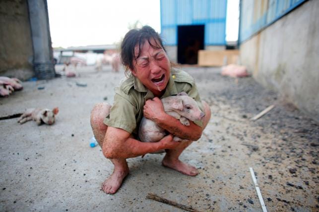 Heavy rain in China kills at least 87