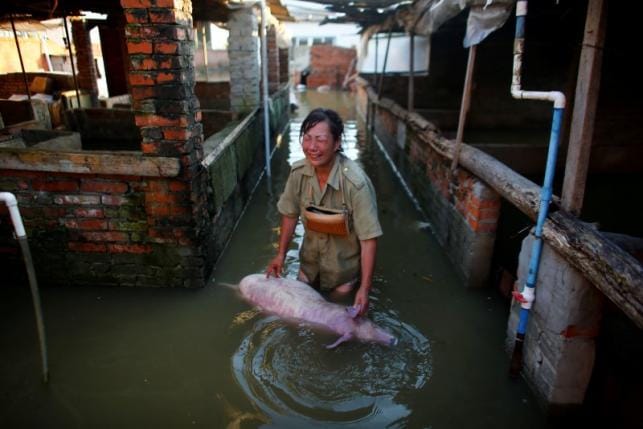 Heavy rain in China kills at least 87