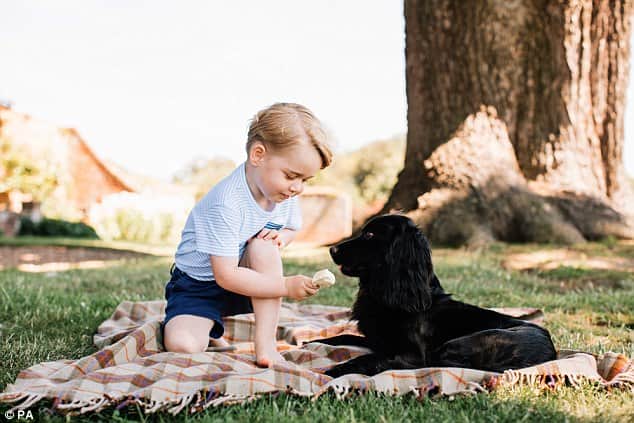 Kate and William accused of 'animal cruelty' over picture of Prince George with dog