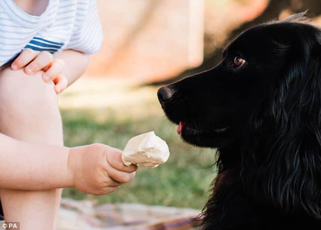 Kate and William accused of 'animal cruelty' over picture of Prince George with dog