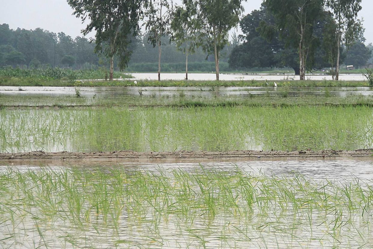 Since the height of the canal full of water in the fields,