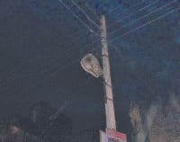 street light in mahndergarh, darkness in street, narnaul