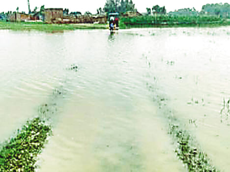 Warning point above the river, Ramganga happened
