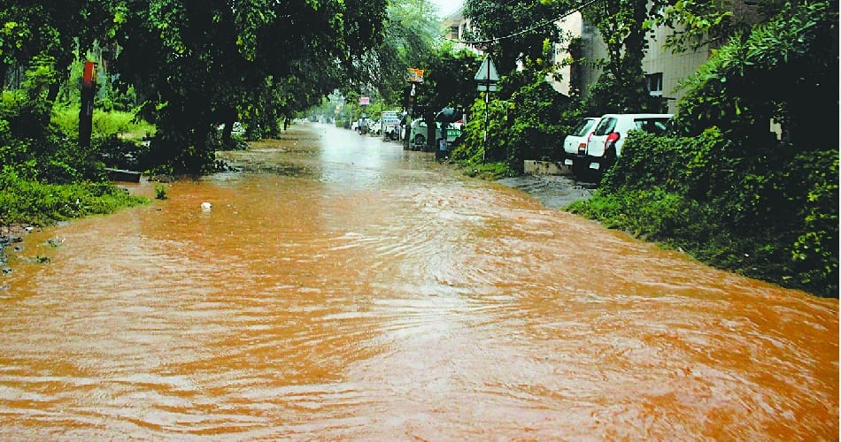 rainfall, heavy rainfall, Chandigarh