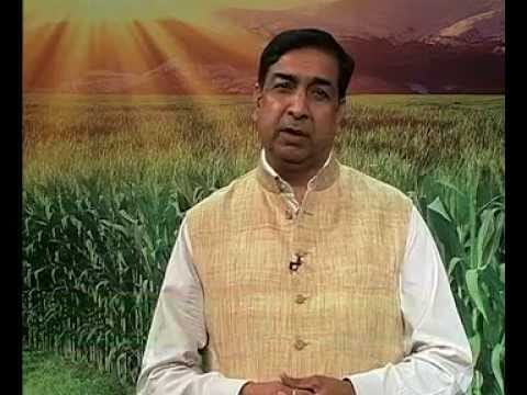 suspension of Sirohi from Kisan Channel creates furor in BJP
