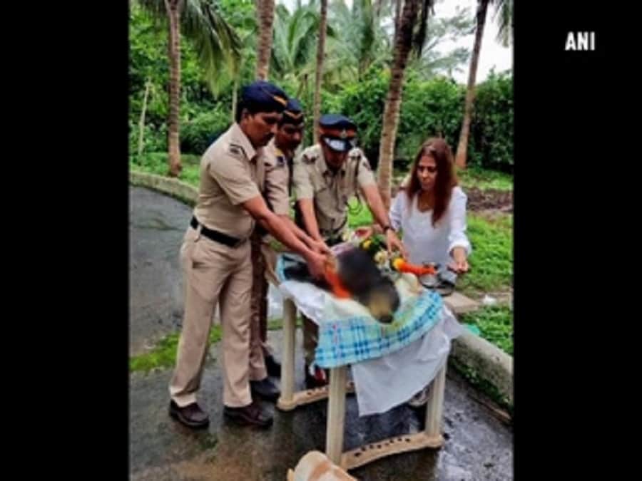 टाइगर की मौत