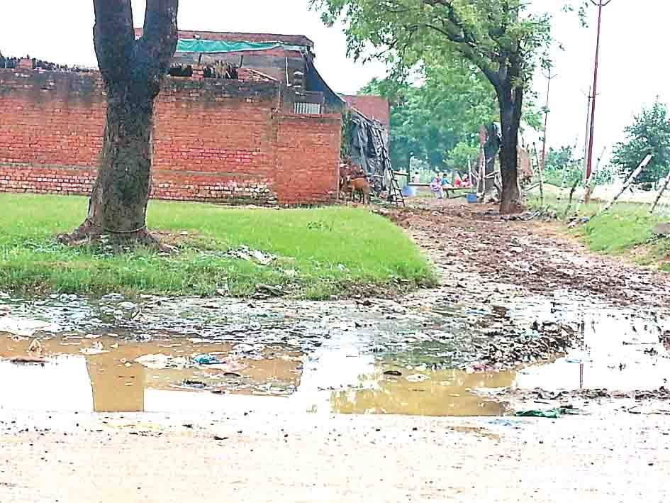 water logging