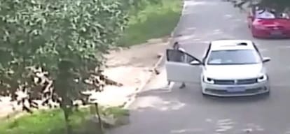 lion took woman in his jaw, the other women also lost life