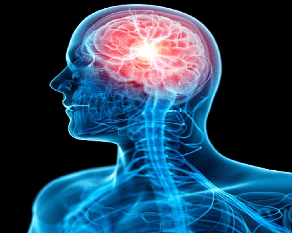 Yoga Asanas for Good Blood Circulation in Eyes and Brain, daily yoga practice benefits