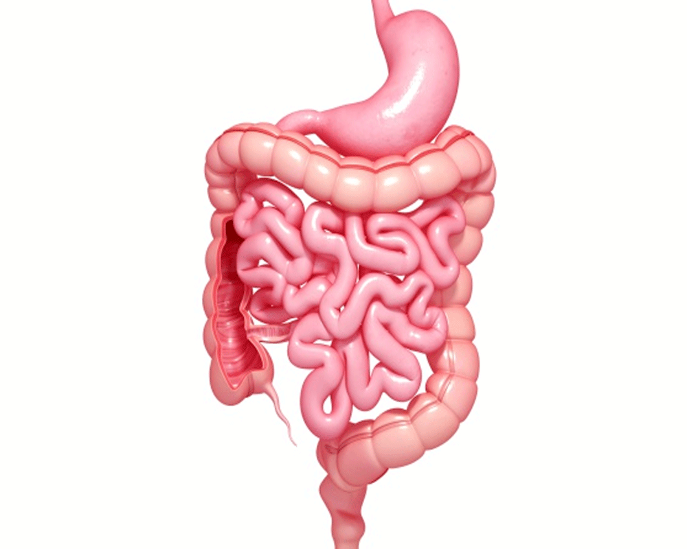 do not eat while standing it affects your body