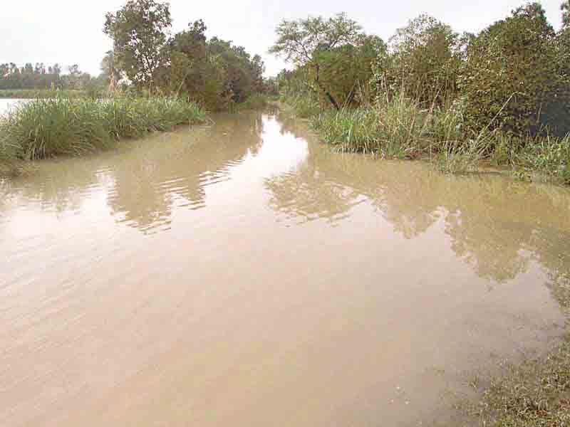 ganga reaches to villages