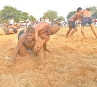 kusti dangal, comptition, bhiwani, hindi news