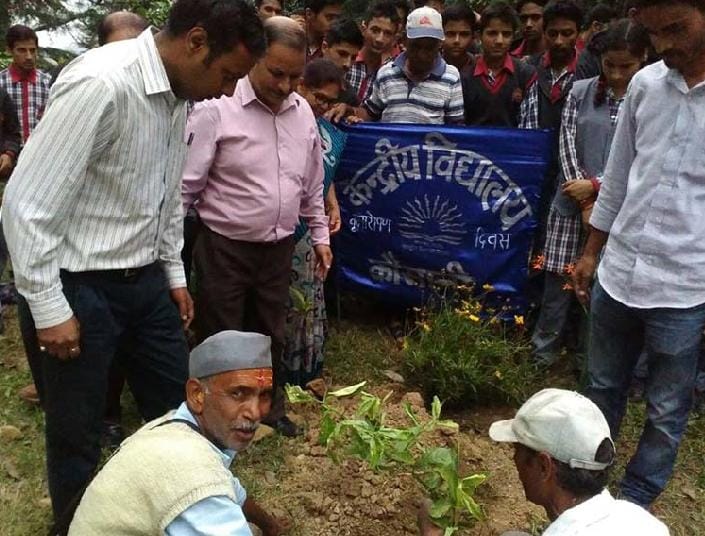 Plantation in Kausani