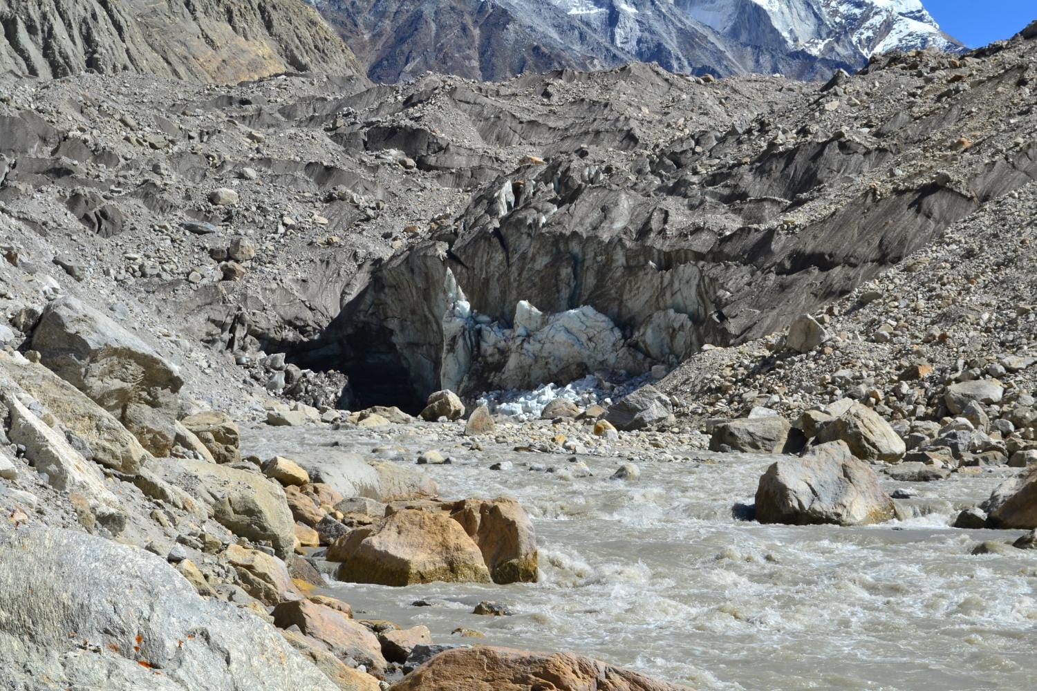 poland mountaineers stranded on shivling peak in uttarakhand.