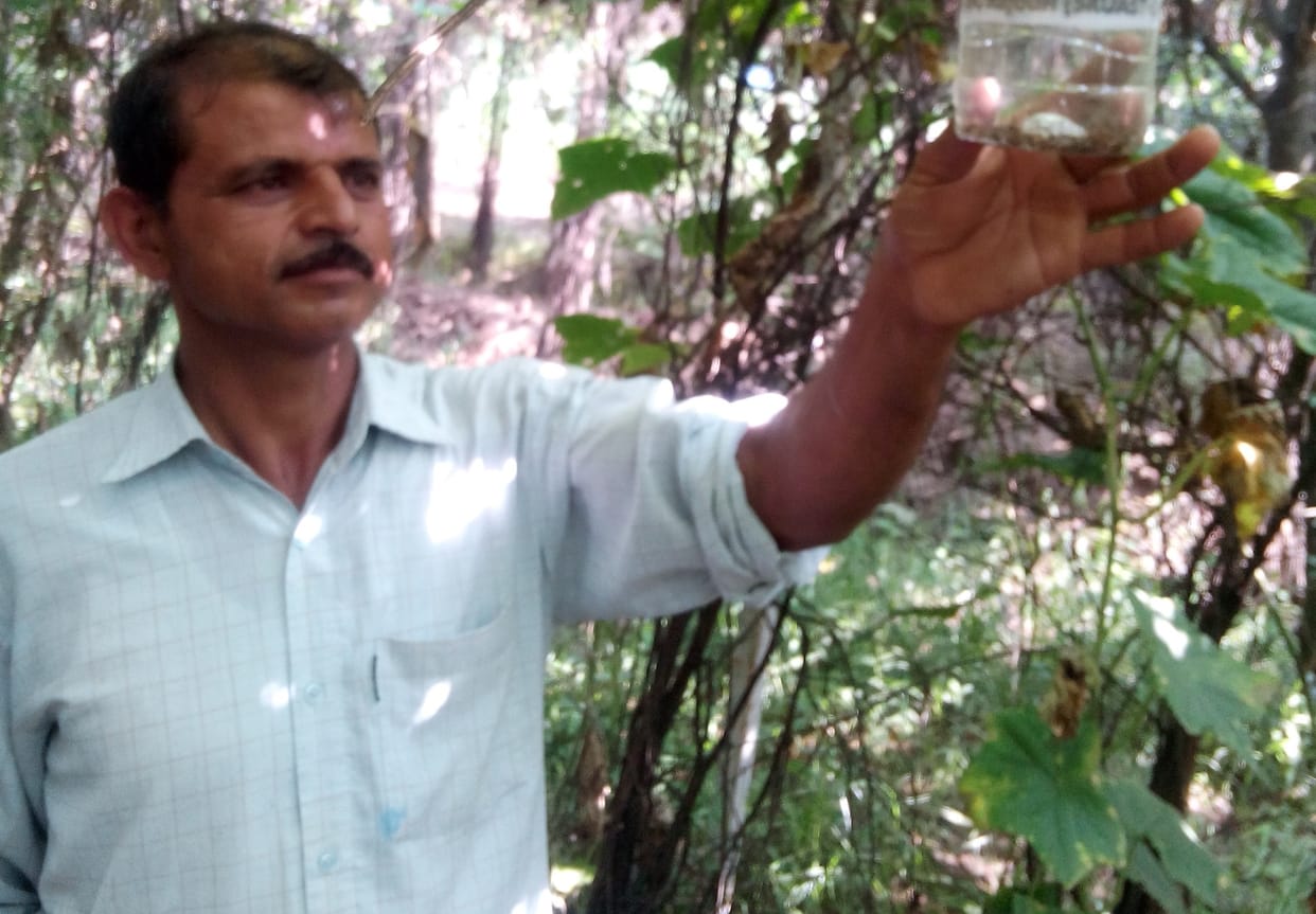 Ramesh Sharma has planted more than eight plants
