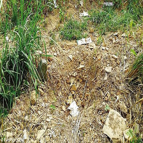 baby found alive after being buried for 8 days
