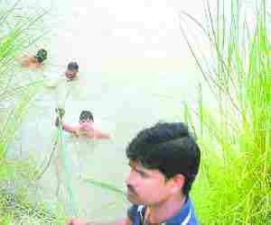 Madarsa Teacher drowned