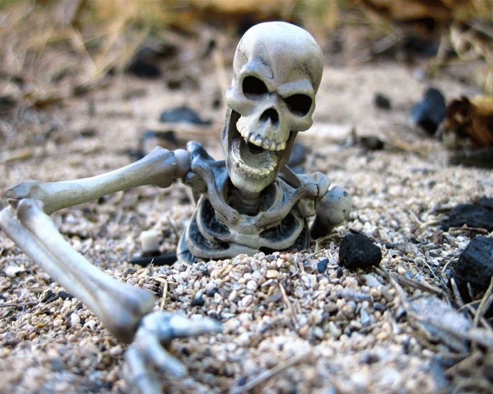 mysterious fact about horror place between himalaya