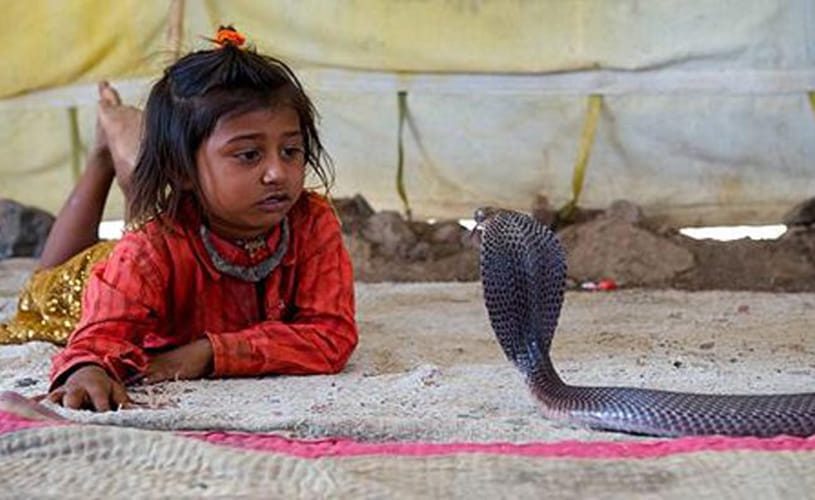 snake village in bihar
