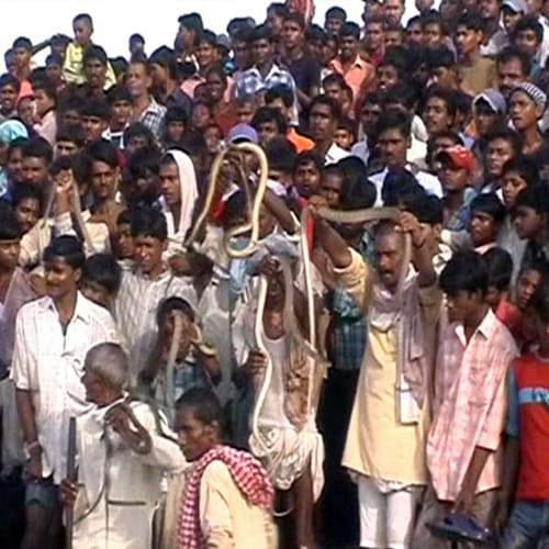 snake village in bihar