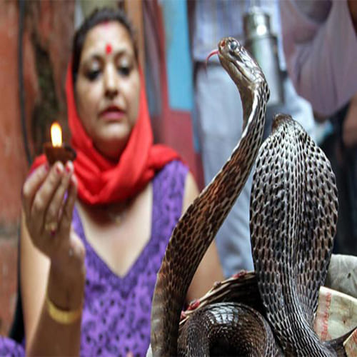 snake village in bihar