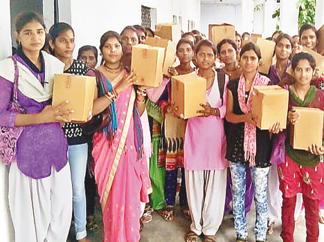 Solar lamps having students face bloom