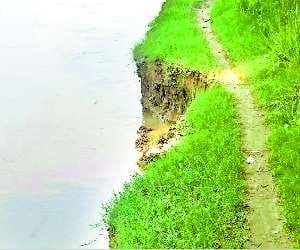 Water reduced, start of felling