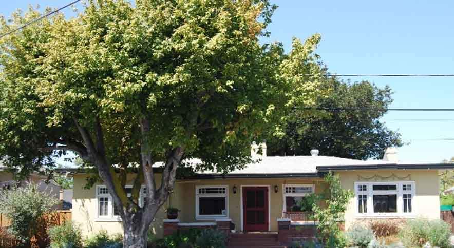 Vatu Tips for health in Hindi