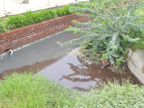 Are flush polluted water into the river with the help of rain