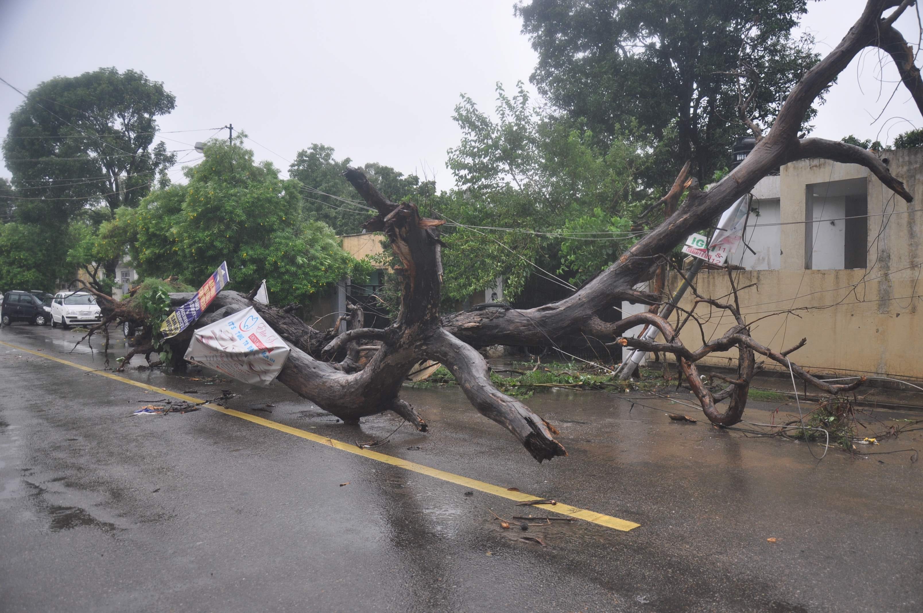 Heavy rains in Jammu
