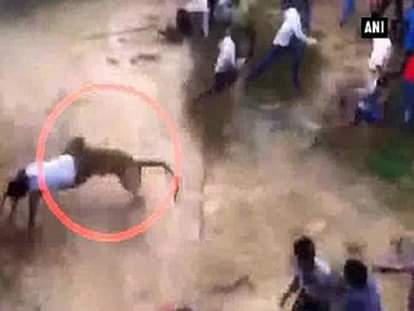 Watch: Leopard attacks villagers