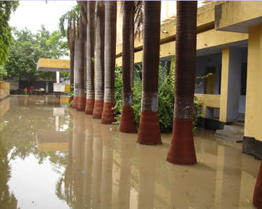 Umbrella in the rain has waterlogged tehsil