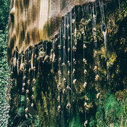mysterious well turns everything into stone
