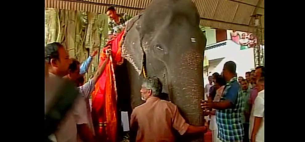 See pictures of the world's oldest living elephant, name registered in Guinness Book