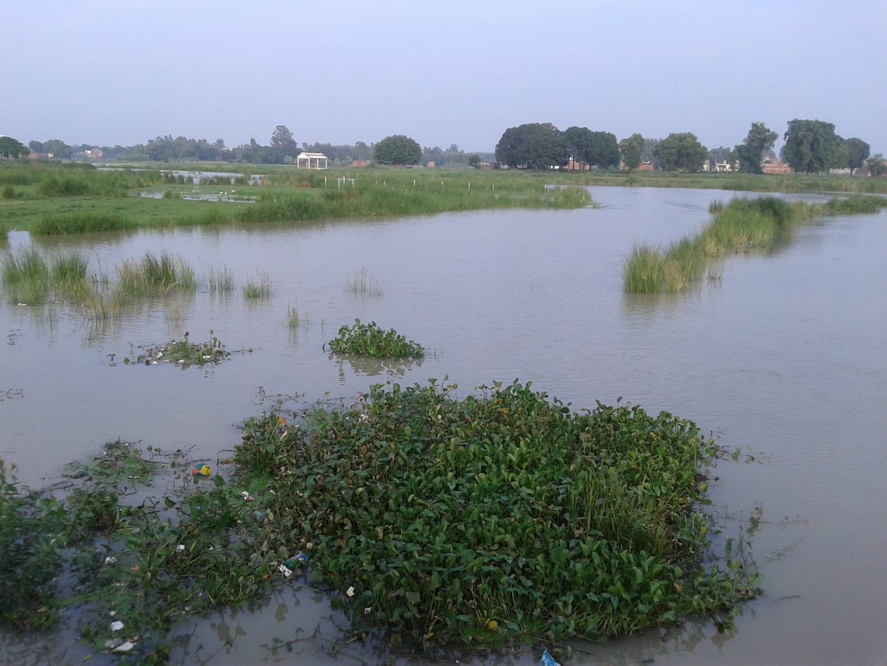 overflow in Tamsa, people got upset