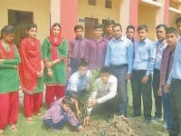 plantation, school, kharak pandwa, kaithal