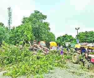 Lucknow-Varansi Highway jam due to tree.