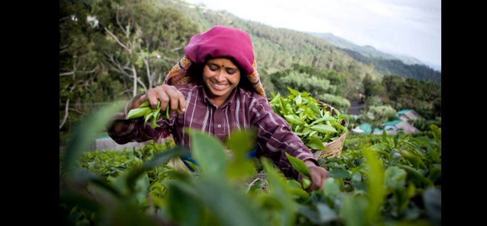 Survey data is worrisome, the number of working women is falling in India