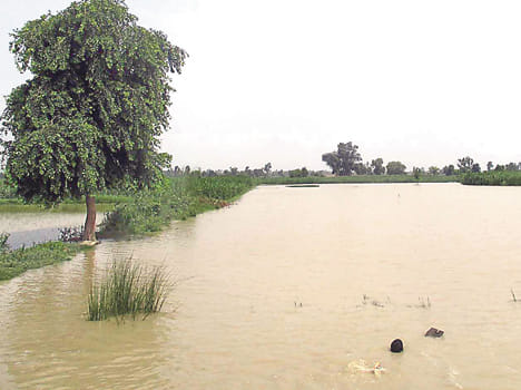  Died several acres farmland strong current
