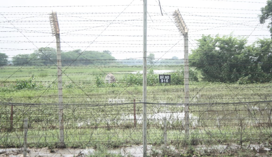 nagar nigam, cbi, death-birth, hisar