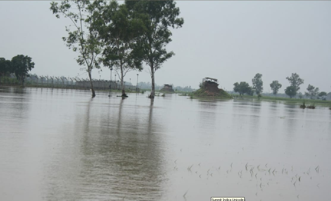 In July, rainfall records were broken