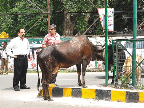 Kiosk, Kalyanpur crossing would Vnve