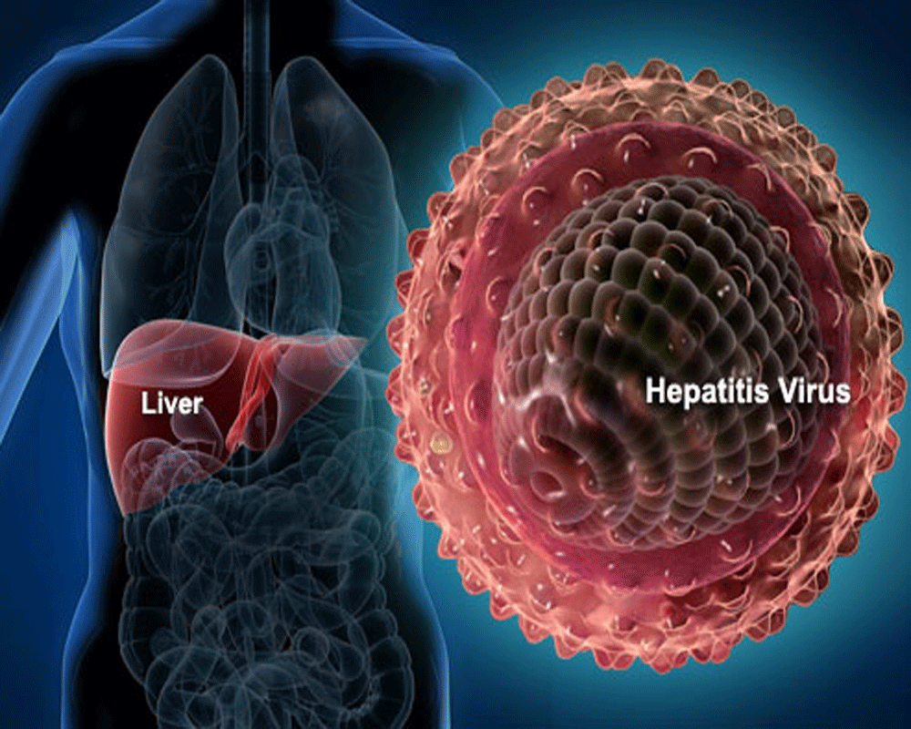 Hepatitis B Symptoms Vaccine And Precautions
