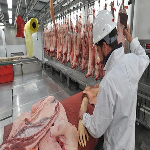 Human Flesh Meat Market In London