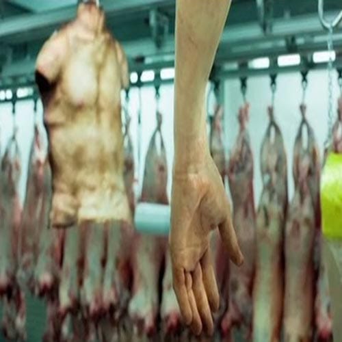 Human Flesh Meat Market In London