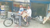 mid day meel, rice, losing millions, karnal school, karnal